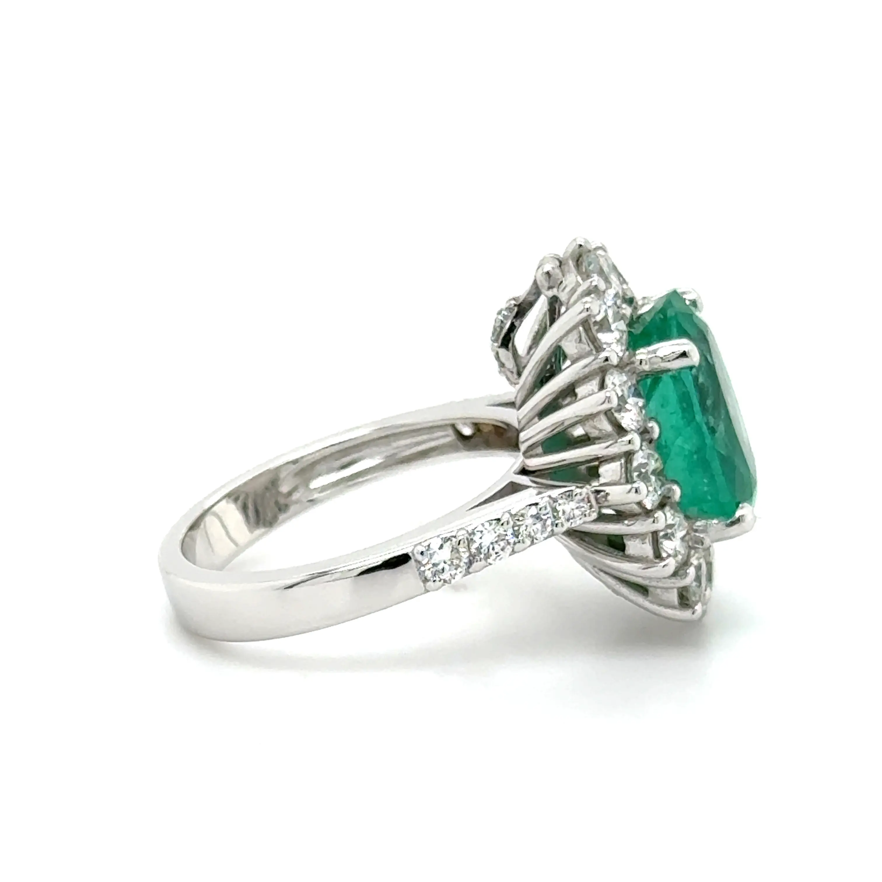 Ring Image 2