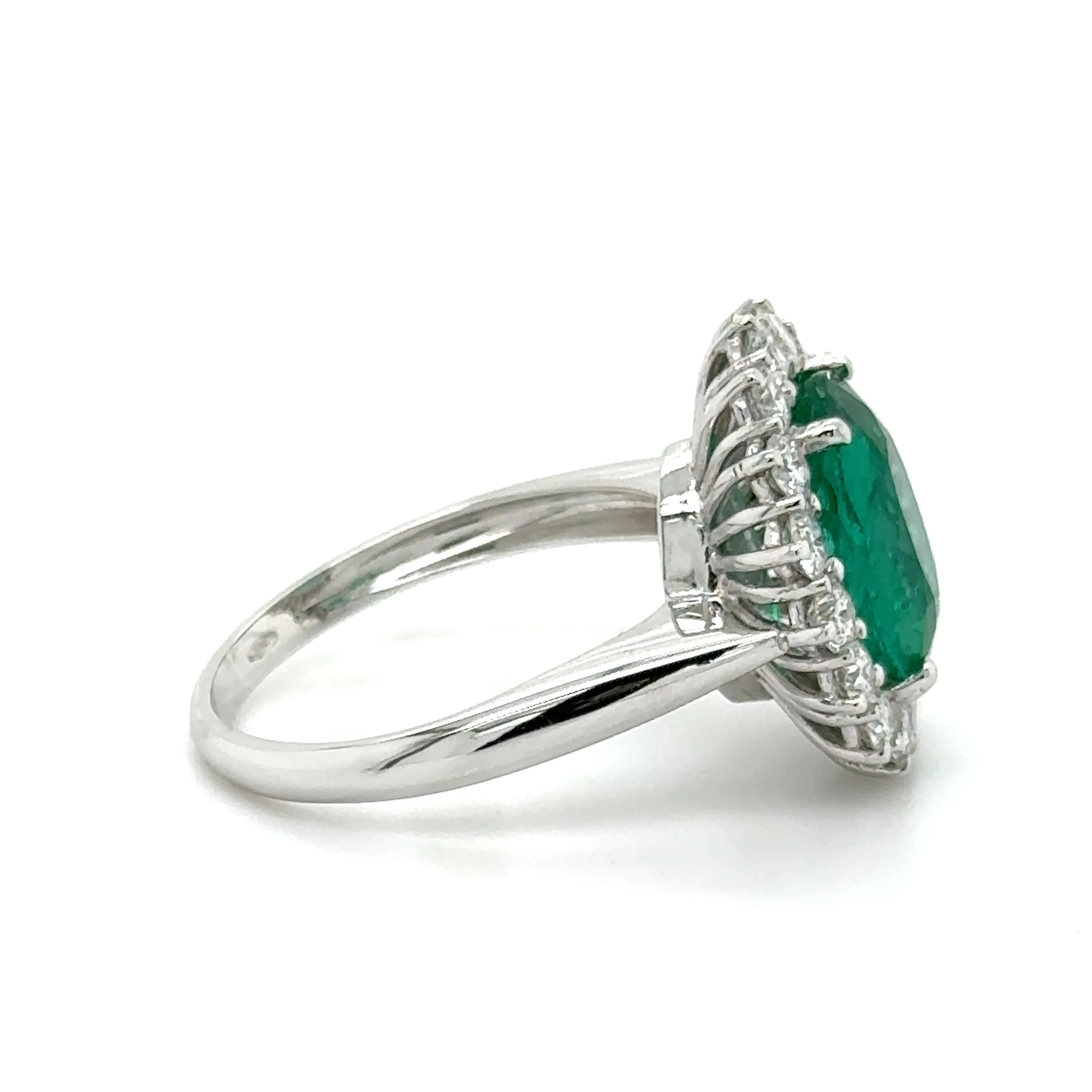 Ring Image 2