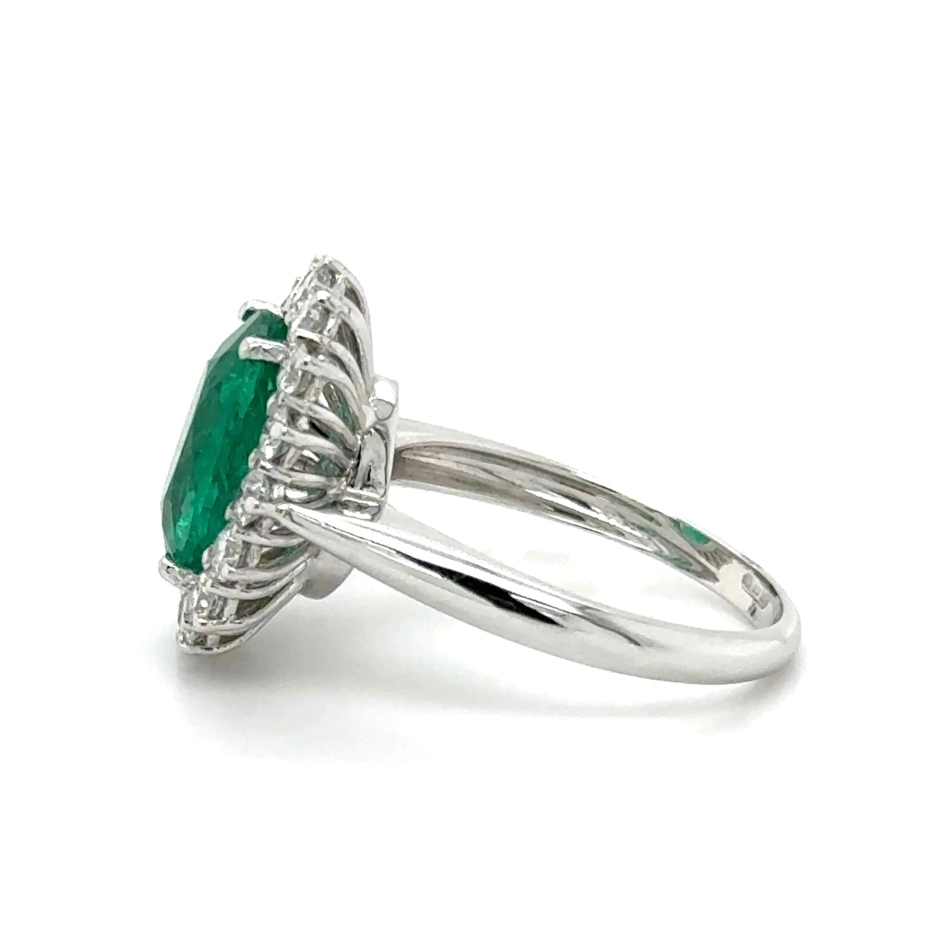 Ring Image 4